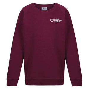 Dixons Brooklands Academy Jumper