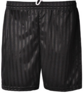 Plain Shadow Stripe Shorts