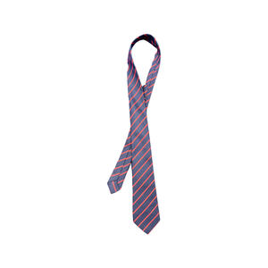 St Ambrose RC Primary Tie(s)