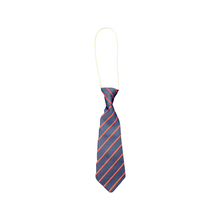 Load image into Gallery viewer, St Ambrose RC Primary Tie(s)
