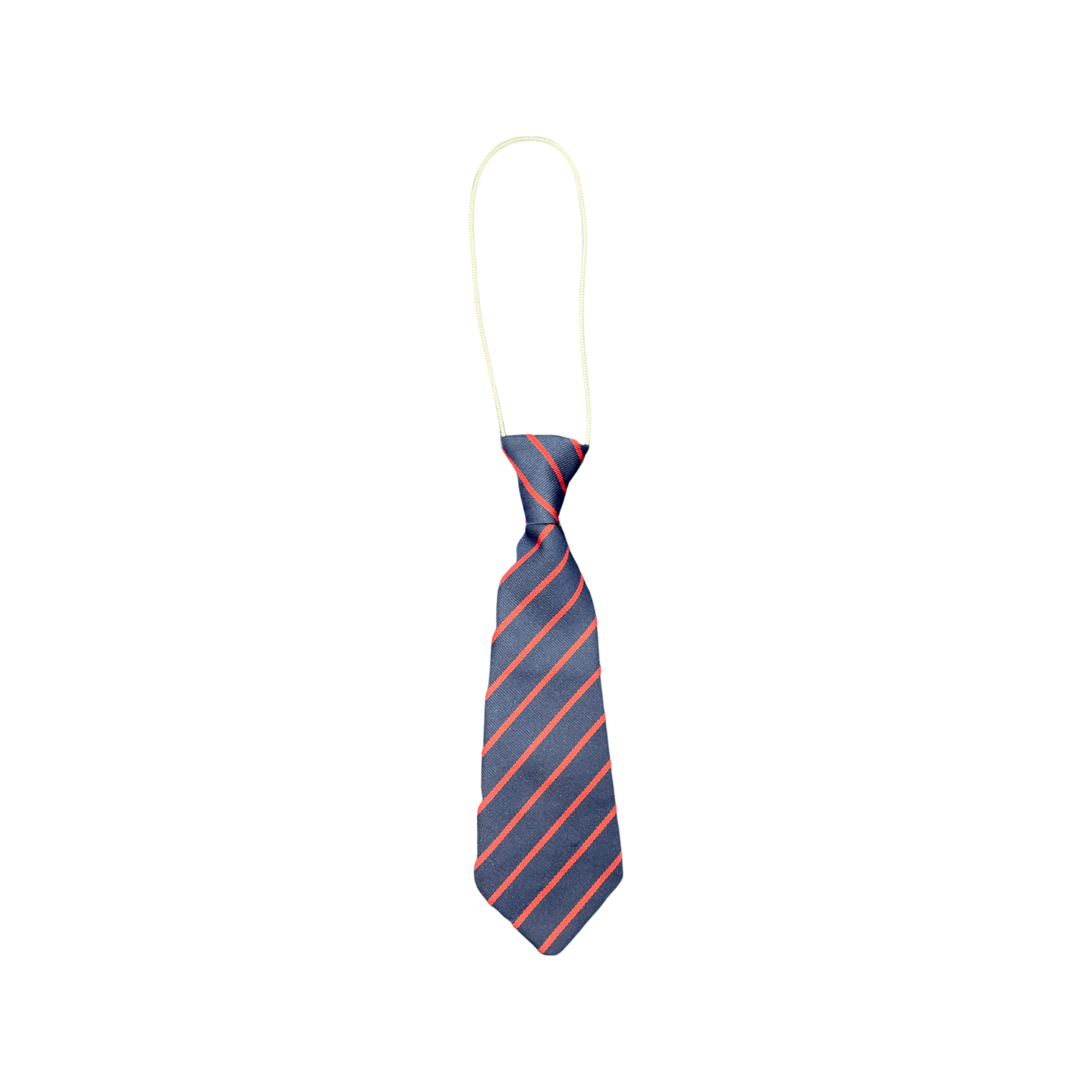 St Ambrose RC Primary Tie(s)